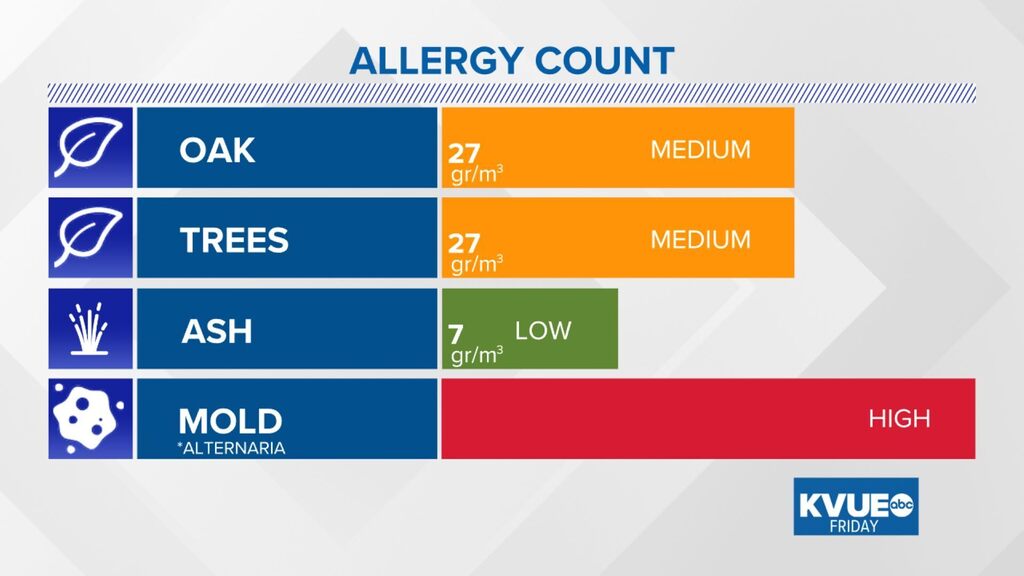 Austin Allergies tweet media