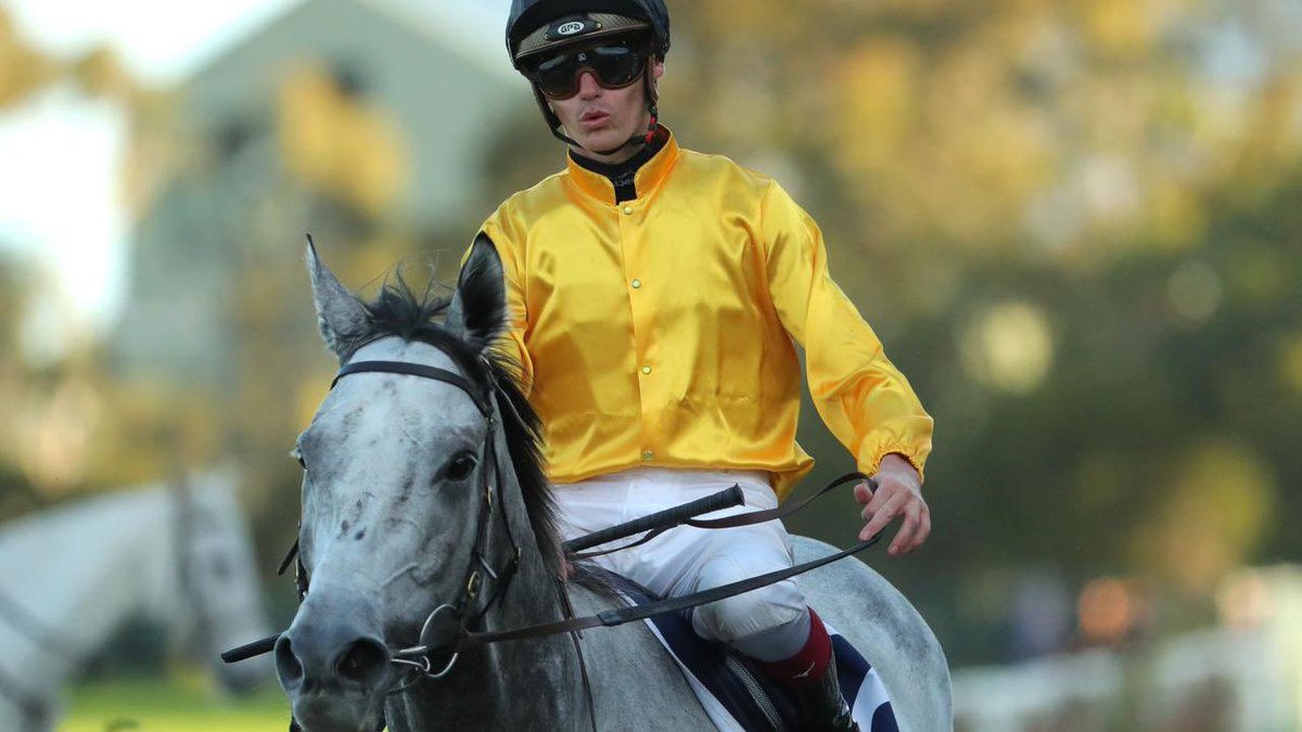 SwettenhamStud's tweet photo. #BOISDARGENT FR 🇫🇷 6G 🟦🟩Toronad🟦🟩o x Madonna Lily(Daylami) earns his first Australian  win in the LR #LordMayorsCup over 2000m at Rosehill NSW for Warwick Farm Tr @ANeashamRacing  &amp; Jk @Reganbayliss ..#TORONADO 🟦🟩@SwettenhamStud🟦🟩 @AlShaqabRacing https://t.co/qaErY4nAXc