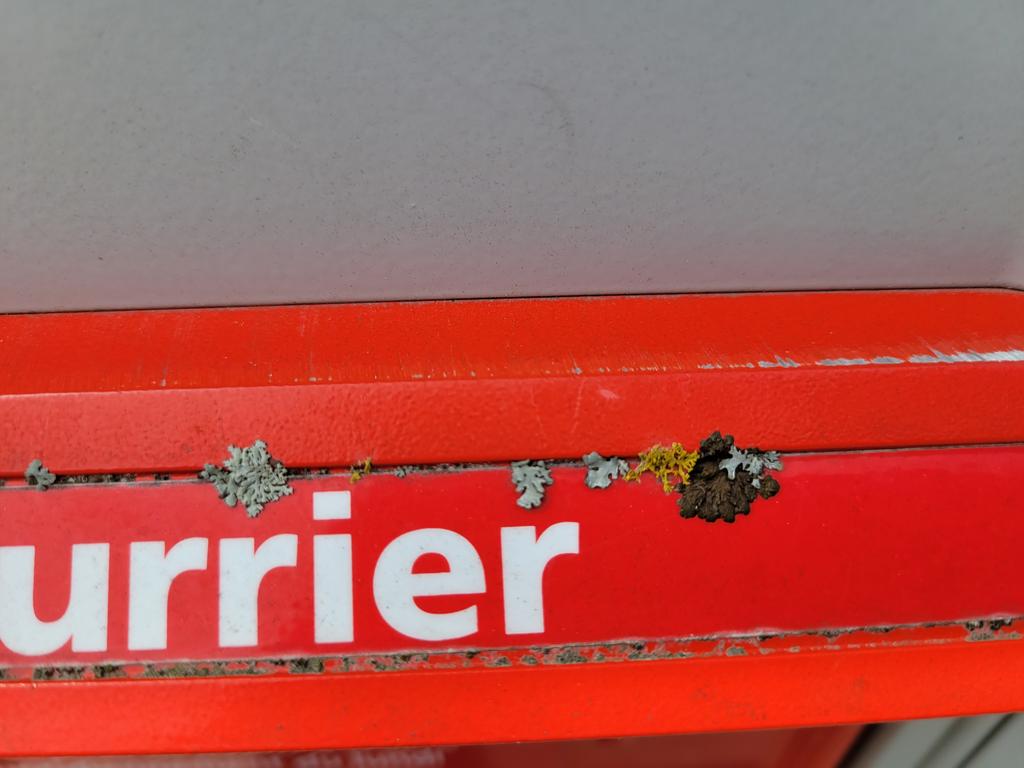 kjtenwolde's tweet photo. Mailbox lichens 😊 https://t.co/nHAbEunywX
