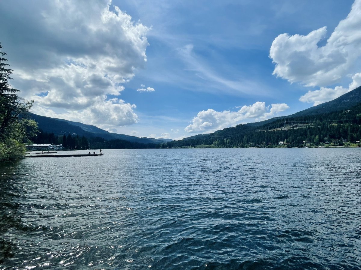 dchloechung's tweet photo. I had a truly wonderful time meeting new people and learning amazing science with #ZoghbiLab people and Huda (we forgot to take photos with her!!) at @KeystoneSymp in wonderful Whistler 🏔️ until next time! #KSNeurodegen23 #KSNeuroimmune23 https://t.co/ssFJCHp2gE