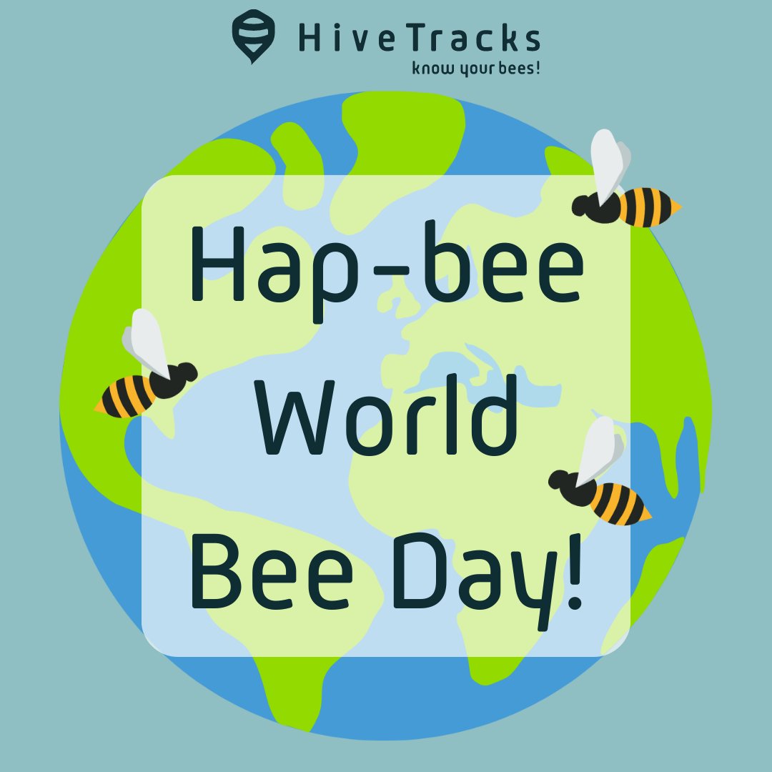 knowyourbees's tweet photo. Happy #WorldBeeDay!🌍📷Join the buzz and save the bees! 📷📷 📷 Plant bee-friendly gardens. 📷 Say NO to harmful pesticides. 📷 Spread the buzz - share facts and tips! Together, we can create a world where bees thrive, and nature flourishes.📷 https://t.co/cEzc6KWgZR