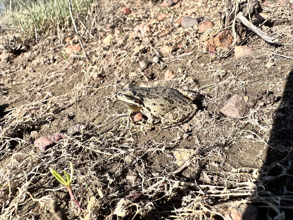 AshlynnCanode's tweet photo. Birds, herps, and mammals? Love it here. https://t.co/8ZvdfLPcFa