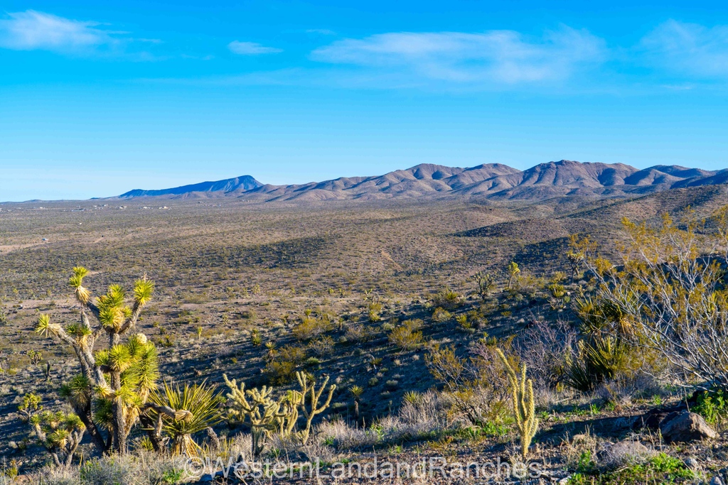 westernlandsale's tweet photo. We will be on-site all day!
Give us a call!
☎️ 1-800-THE-LAND
#1800theland #westernlandandranches #buyland #blm #arizonaland #buyamerica #buyapieceofland #lots #sold #uslandandranches #usland #buynow #timetobuyisnow #remoteliving #offthegrid #landsaleevent #landsale https://t.co/XtOAGGrlRU