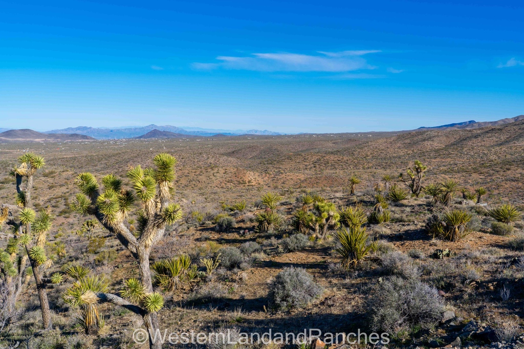 westernlandsale's tweet photo. We will be on-site all day!
Give us a call!
☎️ 1-800-THE-LAND
#1800theland #westernlandandranches #buyland #blm #arizonaland #buyamerica #buyapieceofland #lots #sold #uslandandranches #usland #buynow #timetobuyisnow #remoteliving #offthegrid #landsaleevent #landsale https://t.co/XtOAGGrlRU