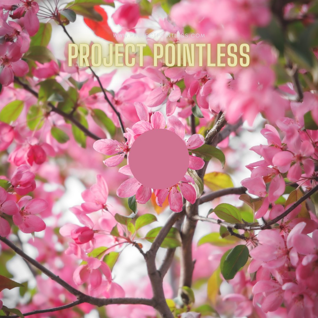Proj_Pointless's tweet photo. PROJECT POINTLESS || Dots of creativity 🎨🌺

Visit our website for more information: https://t.co/vypxiE4GgK

FOLLOW THE DOT.
#projectpointless #pointless #point #nft #nftart #pointlessart https://t.co/0VtQ0bZCRj