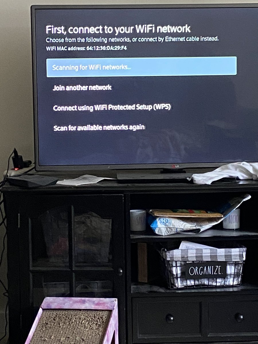 Jenn🐍🐍 tweet media