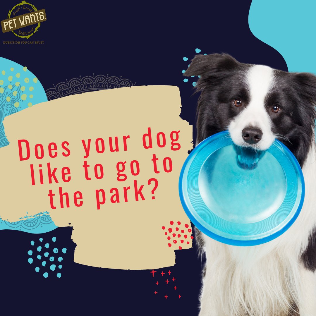 Does your dog like the park or going for a walk in your neighborhood better? 🐶 How can you tell? 👀

#arlingtonheights #buffalogrove #desplaines #buffalogrove #cary #crystallake #deerfield #deerpark #desplaines #elkgrovevillage #hoffmanestates #foxrivergrove #glenview