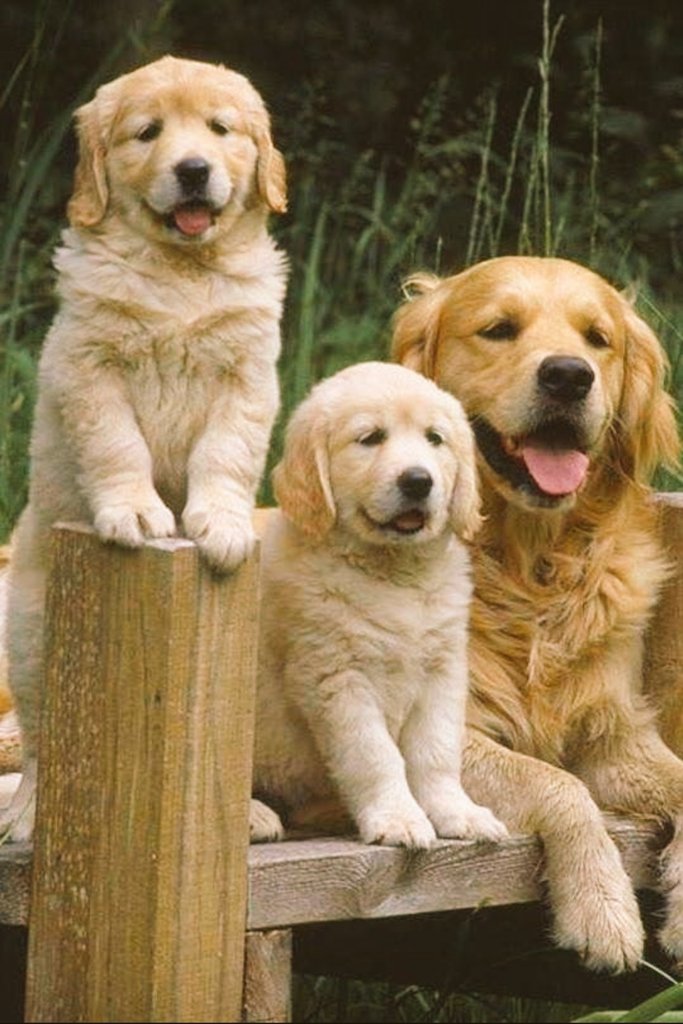 🌺🅖🅘🅝🅐🌺 on Twitter "No matter what age group or origin Friendship is