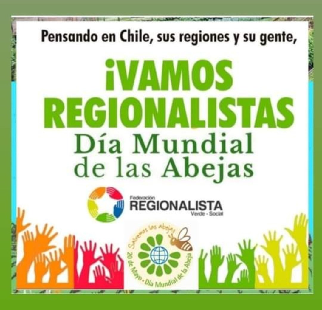PuertoMontt_X's tweet photo. Hoy 20 de Mayo celebramos el #DiaMundialDeLasAbejas 🐝.

seres esenciales en la Economía Regiónal
Son tremendamente Verdes y Sociales
su labor incansable en la #polinización y preservación de la #biodiversidad y su labor contra el #CambioClimatico. https://t.co/YvSse5ze9m