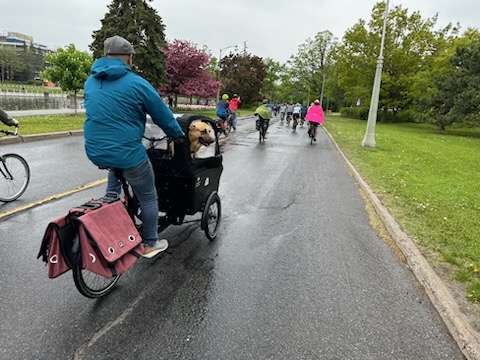 We were at #Ottawa's #CriticalMassRide this morning and it was FUN!
🚲🚲🚲🚲🚲🚲🚲🚲🚲🚲🚲🚲🚲