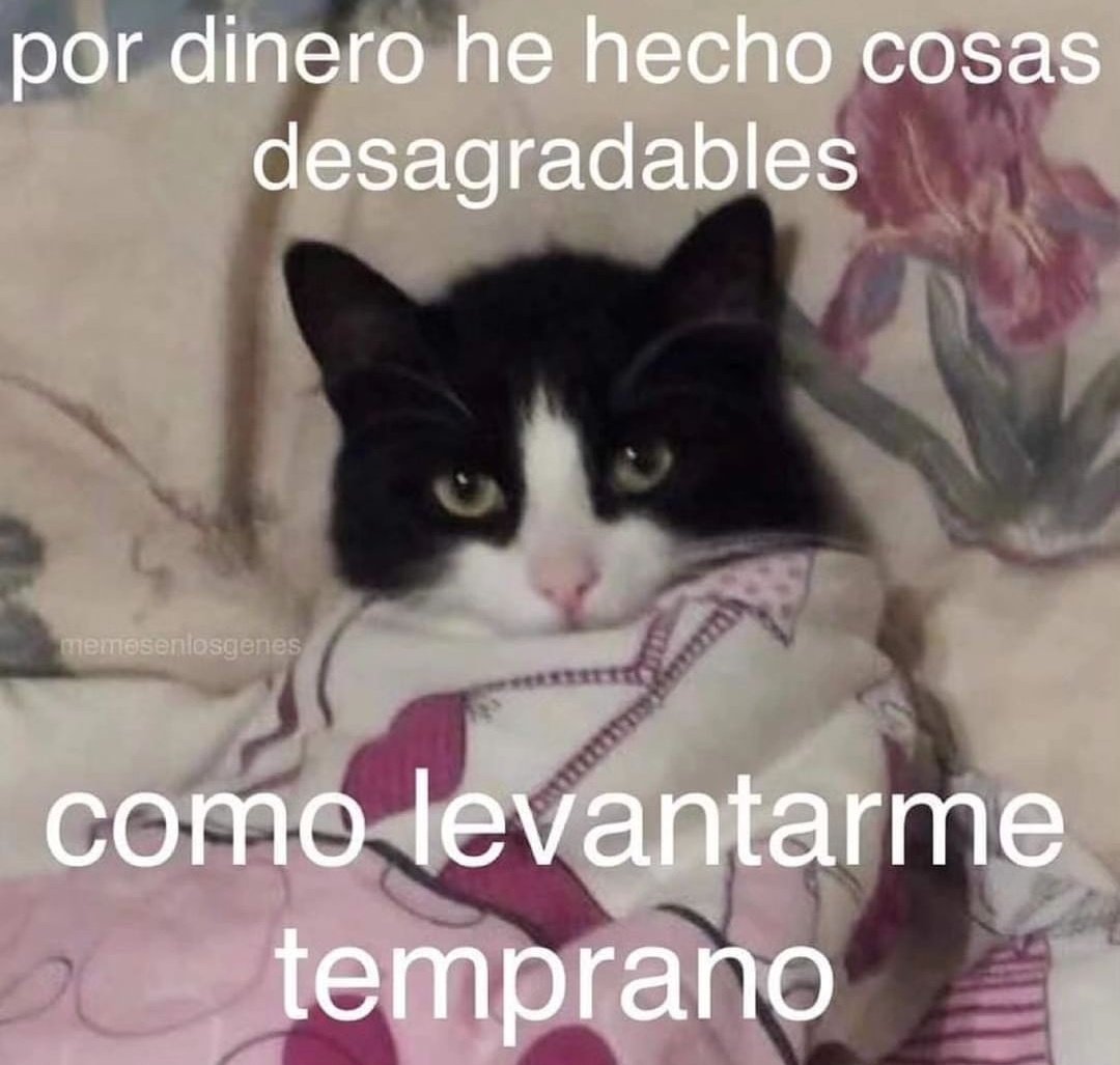 piña sin pizza tweet media