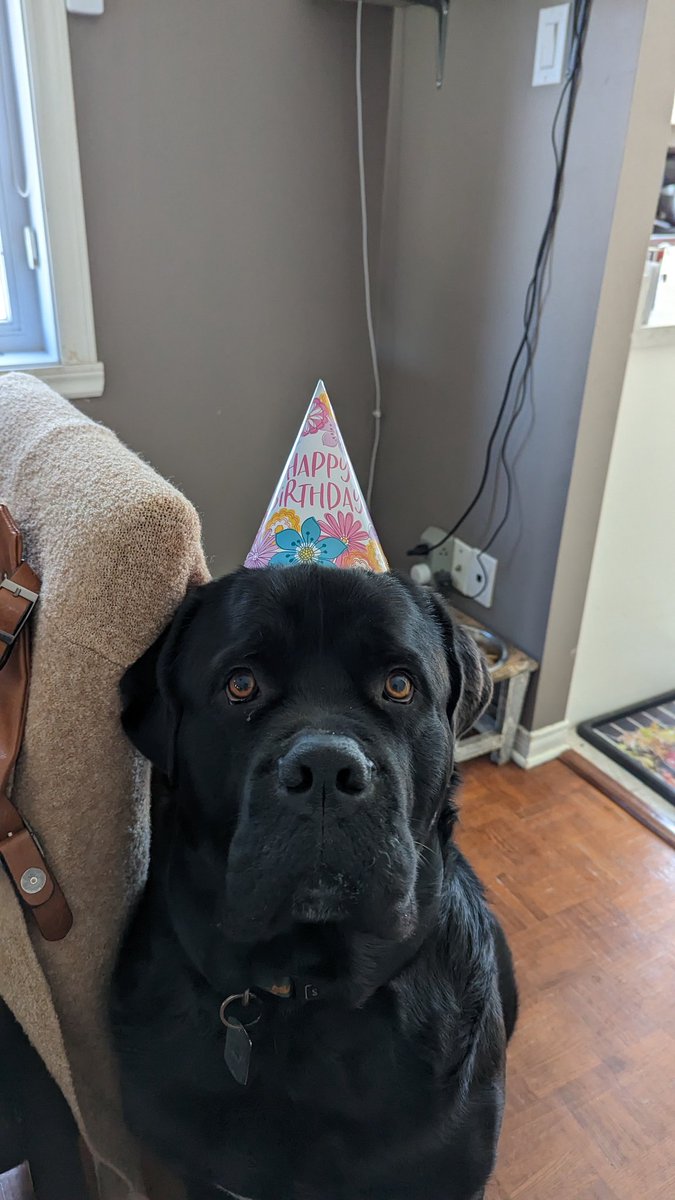 Mr_Papou's tweet photo. @Wei2Yue HAPPY BIRTHDAY! from Tachanka and Maverick https://t.co/RvSyzsosoZ