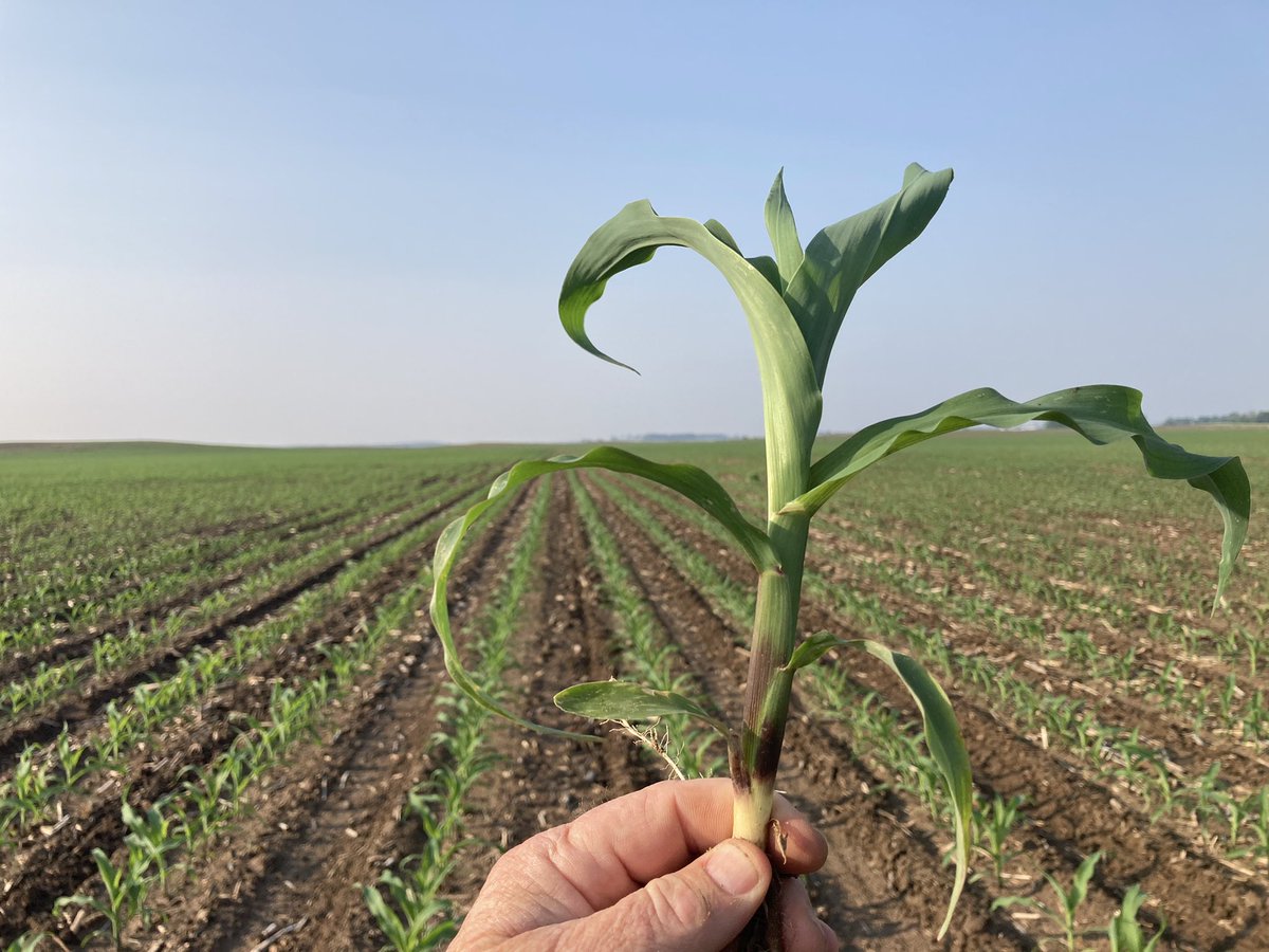 Mike Kavanaugh tweet media