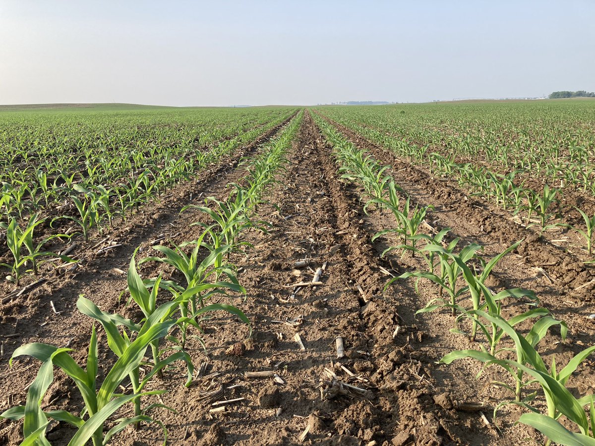 Mike Kavanaugh tweet media