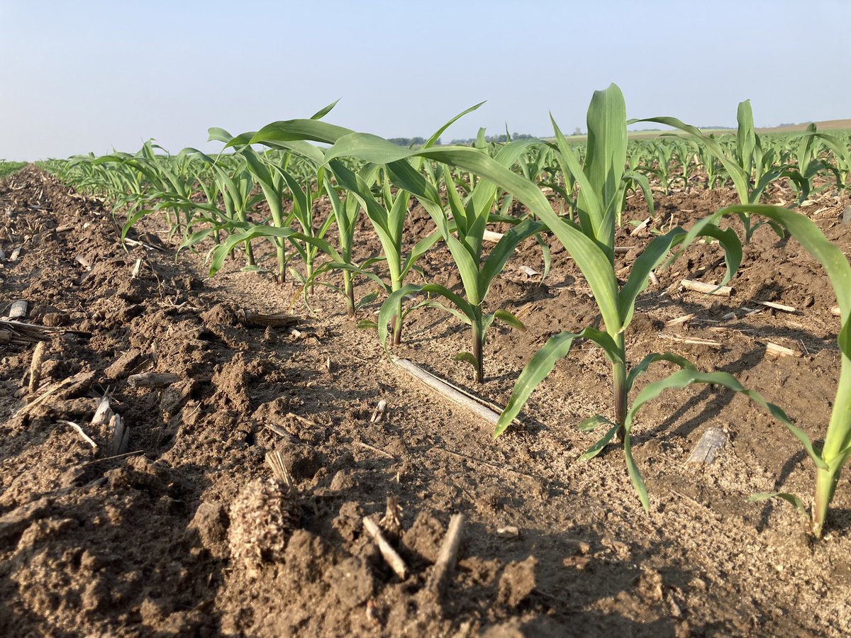 Mike Kavanaugh tweet media