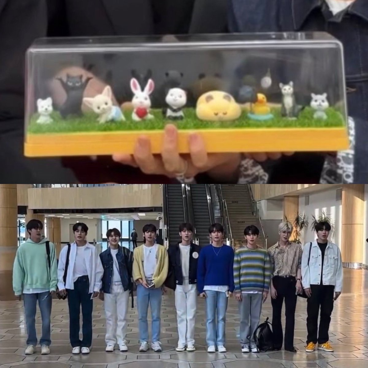the fact that yujin put the effort to buy, choose the animal and assemble the set up like the official position remind me when he draw zb1 logo during the exam like i swear he is the biggest fans of his bandmates. he really loves his hyungs, he really loves zerobaseone ☹️💗.