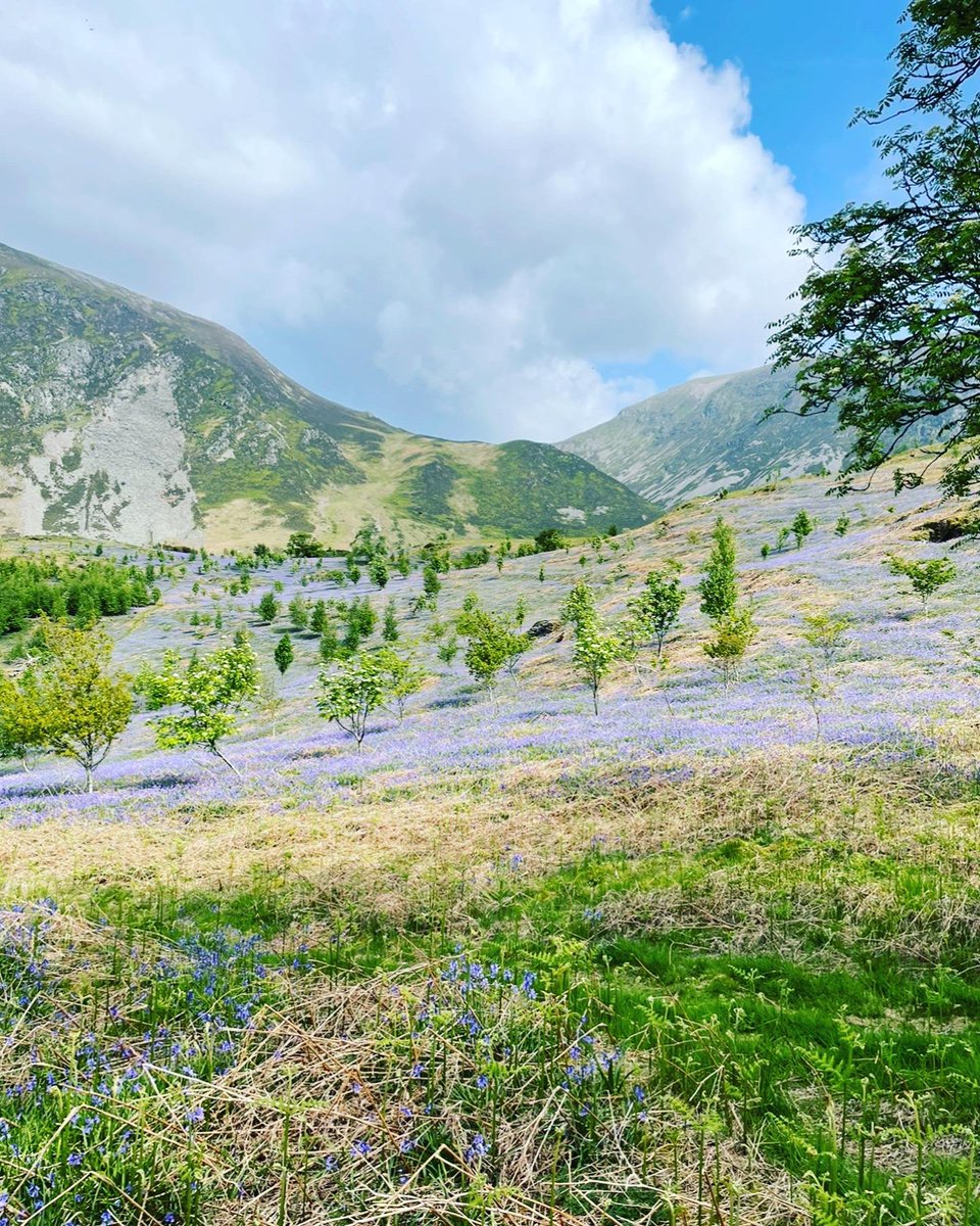 Rannerdale Knotts