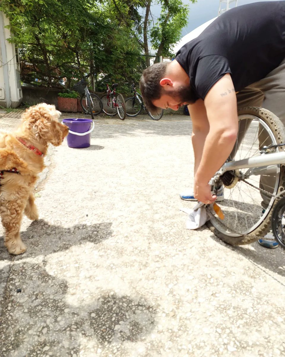 thnilufer's tweet photo. Atıl duran bisikletleri gönüllülerimizle onarıp, depremden etkilenen çocuklara hediye ediyoruz. Bisiklet onarım buluşmamıza katılan bütün güzel kalpli insanlara teşekkür ederiz ❤️ https://t.co/qsWKzdLlXJ