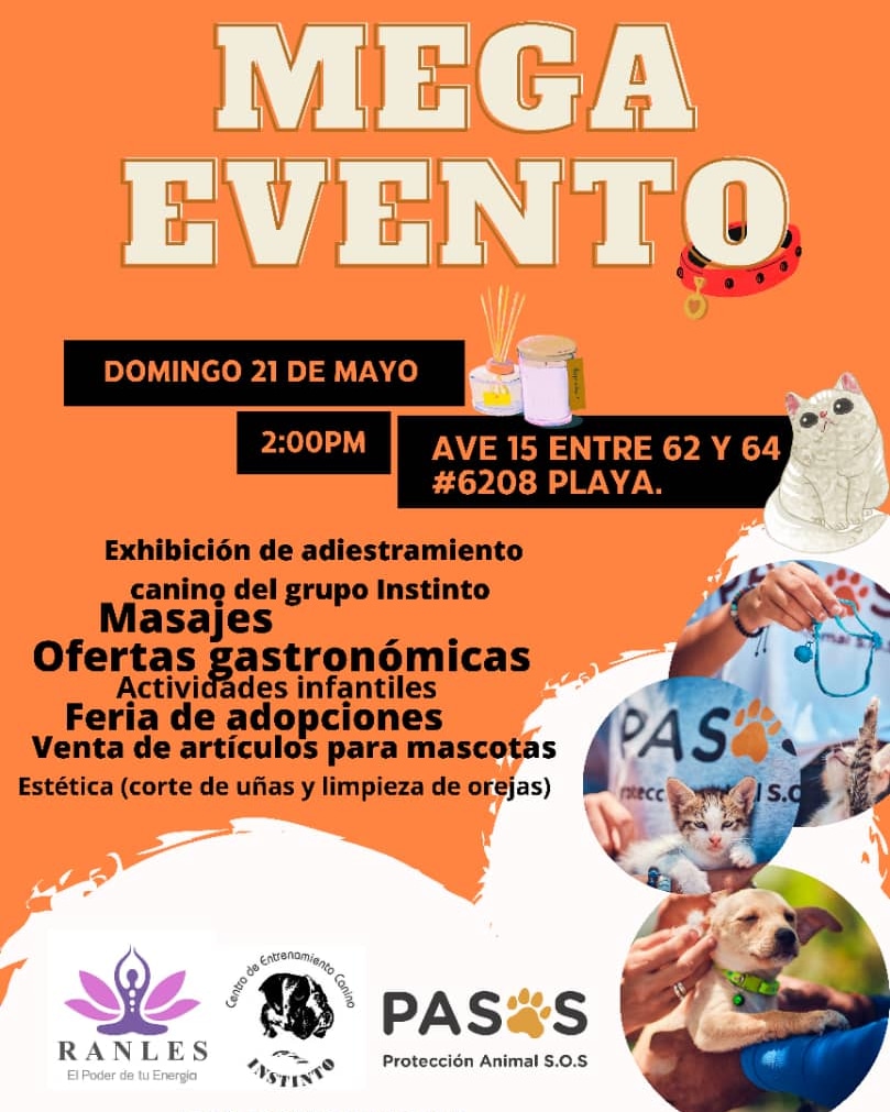 Protección Animal SOS- PASOS🐾 tweet media