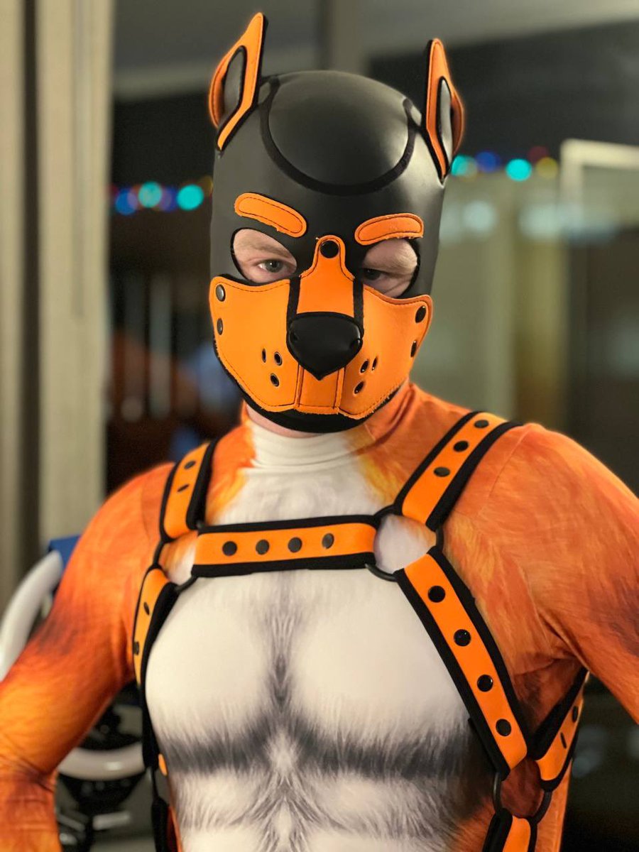 GrungerfoxAD's tweet photo. Some more shots from FWA 📸@ZenoTheZebra https://t.co/WBMD4AMhEi