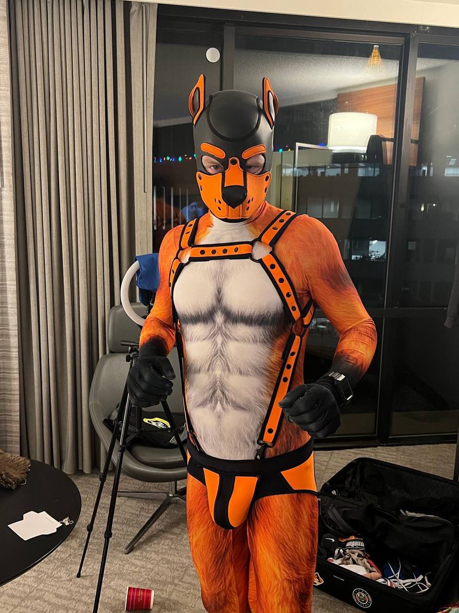 GrungerfoxAD's tweet photo. Some more shots from FWA 📸@ZenoTheZebra https://t.co/WBMD4AMhEi