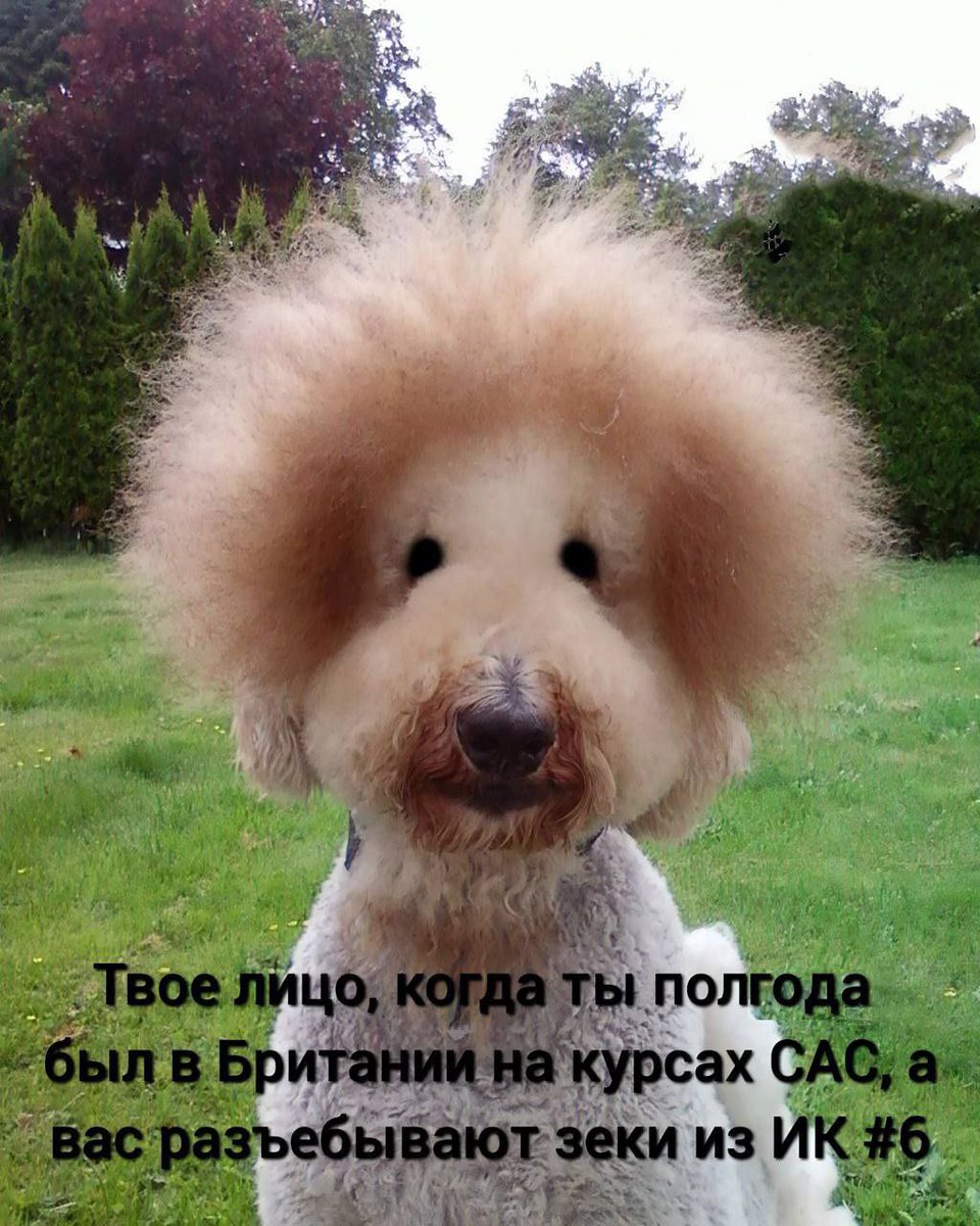Denis_Ermakov's tweet photo. Кто был против ЧВК ВАГНЕР Распространите!

И так поехалии, по порядку: 

Бригады:
🟥45 бригада
🟥43 бригада
🟥26 бригада
🟫28 бригада
🟫62 бригада
🟫63 бригада
🟫53 бригада
🟫60 бригада
🟫24 бригада
🟫57 бригада
🟫30 бригада 
🟪бригада наступления Рубеж
🟪бригада наступления Азов https://t.co/6GgjYficpR