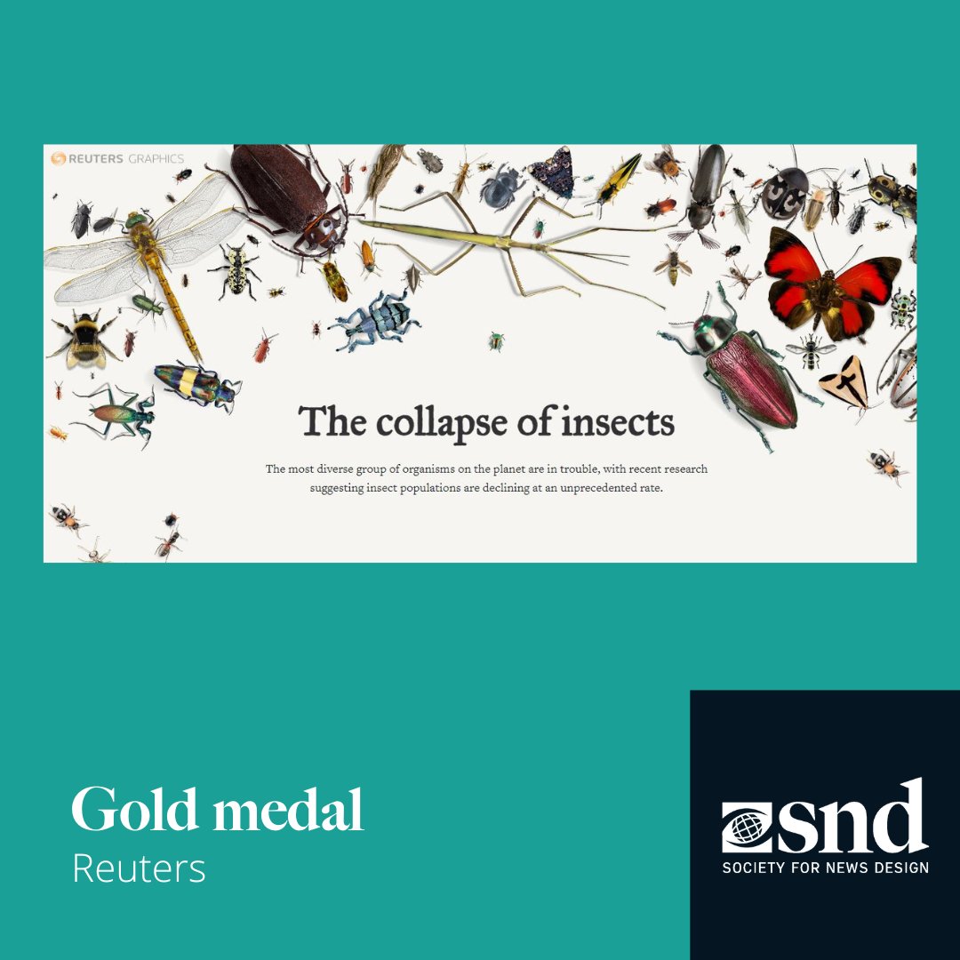 Society for News Design tweet media