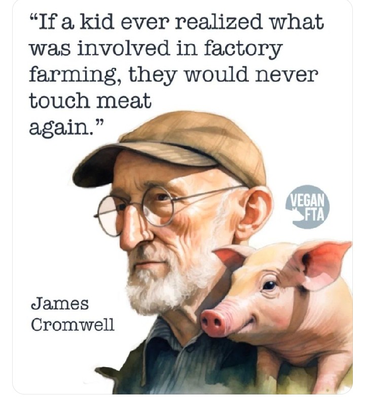 BeateEichenwald's tweet image. Instead, children's compassion towards animals is killed or at least damaged in various degrees, including their "humanity".
A cruel theft committed against children.