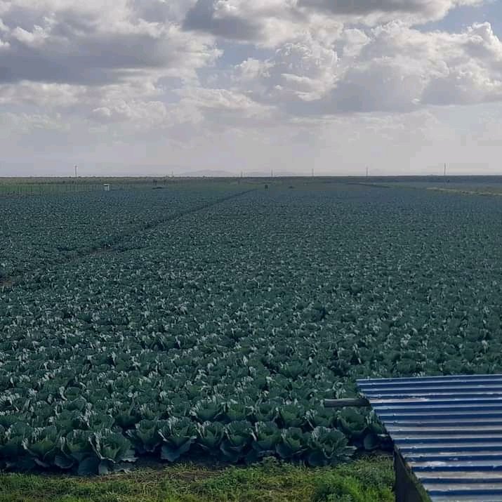 Farm With Fred tweet media
