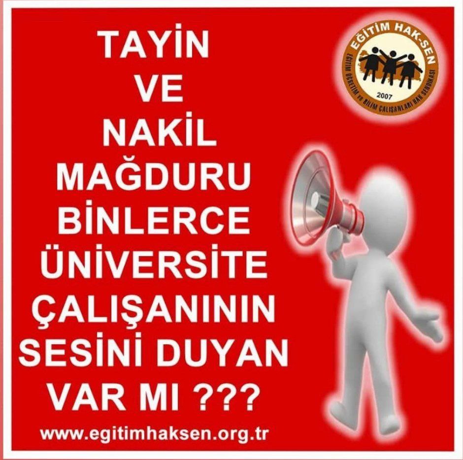 mesutzorlu65 tweet media