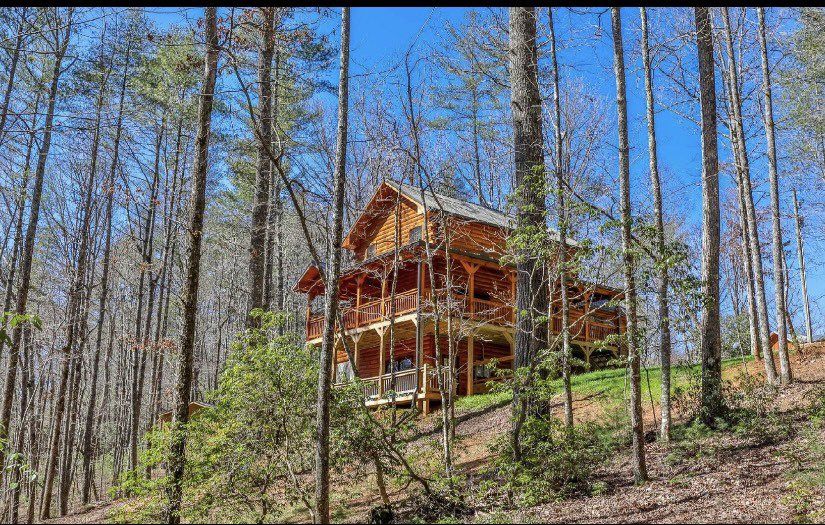 QueenofCups99's tweet photo. A long time dream (finally) realized. A place of peace. https://t.co/VxEW1rvxMU