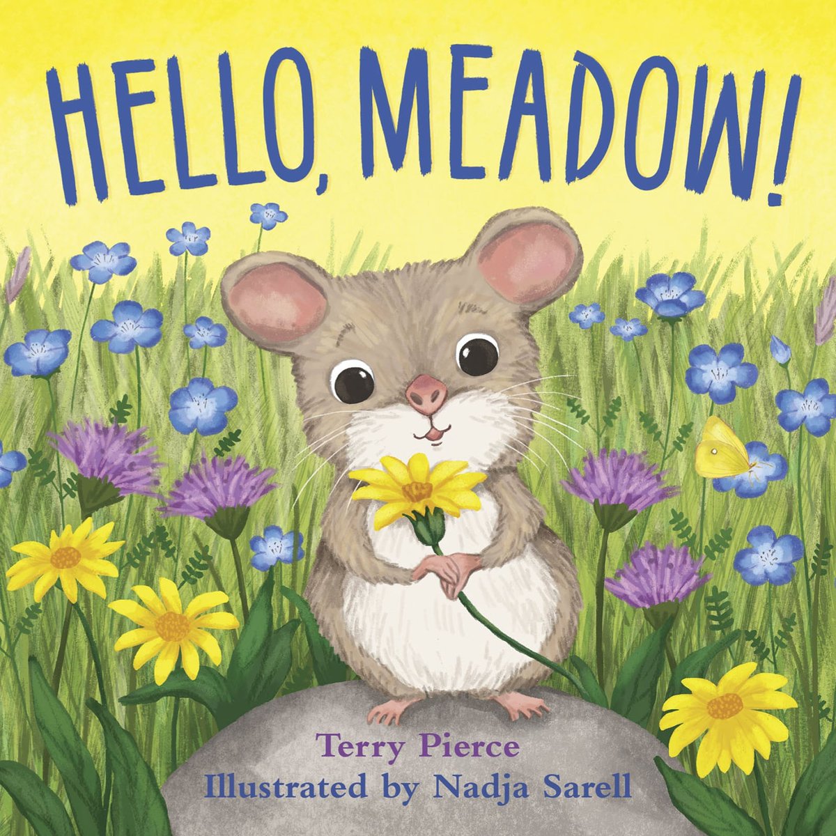 CORRECTION: Book giveaway ends tonight, MAY 20 midnight.🤦‍♀️My apologies! HELLO, MEADOW! #bookgiveaway! Do each of these things to have your name entered: 🐭Follow me 🦋Retweet 🌻Comment or tag a friend US only. #boardbook #librarians #educators #kidlit