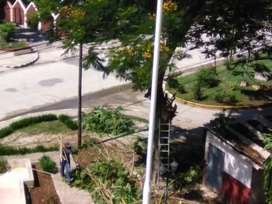 Dando cumplimiento al Ejercicio Meteoro 2023 los trabajadores del TPPG de Granma, en labores de limpieza y poda de árboles.
#SePuedeMuchoJuntos