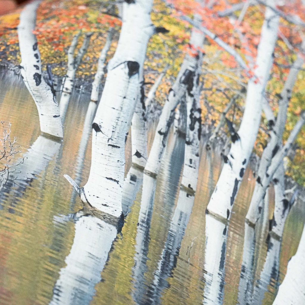 Fotospeed's tweet image. Matt Infinity 265 is one of three news paper launched by Fotospeed in April. Originally designed for face mounting and as a result has an ultra-smooth surface &amp;amp; resin coated backed.

fotospeed.com/fotospeed-matt…

#fotospeed #mattpaper #foreveryprint #powerofprint