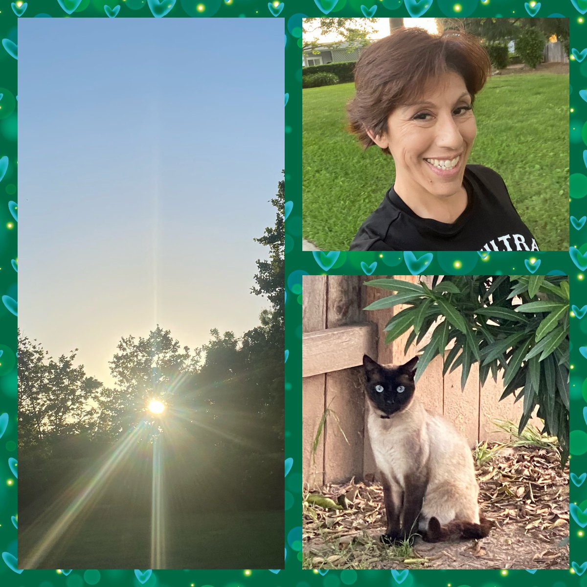 Last night I got in 6 miles.  Thrilled to see the mileage build. Another gorgeous sunset and the cat was back in the neighborhood!! #Fridaynight #littlethings #Slowandsteady #Nuunlife #SNB