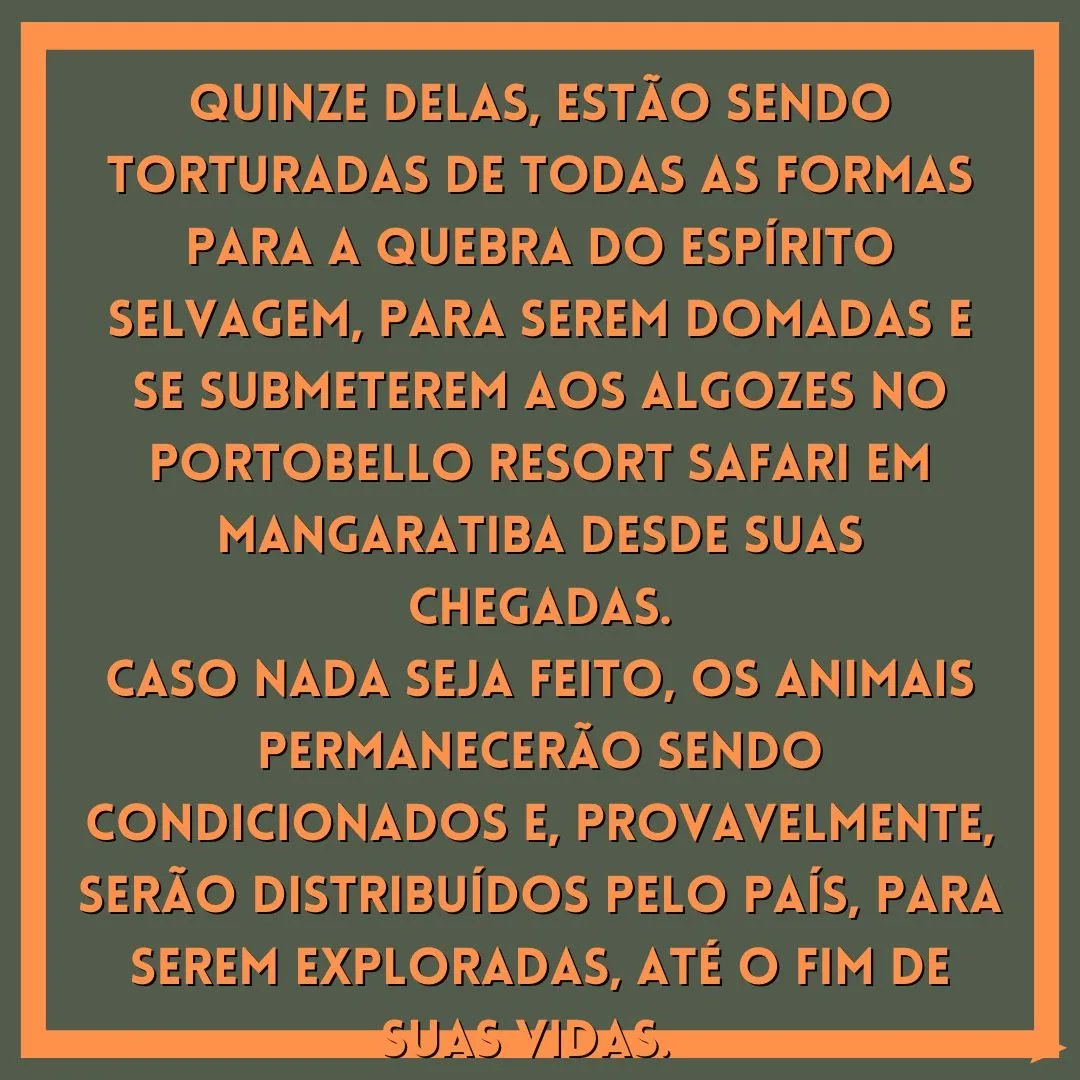 girafaslivresja's tweet photo. #liberdadeparaasgirafas
#santuarioparaasgirafas
#justicaparaasgirafas
#zoologicoprisao
#bioparquedorio
@bioparquedorio
#poetobelloresort
@PortobelloRJ
#grupocataratas
#ibama
@ibamagov https://t.co/7HqOVnFg4g