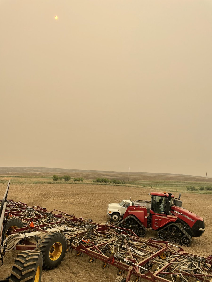 #summerhaze