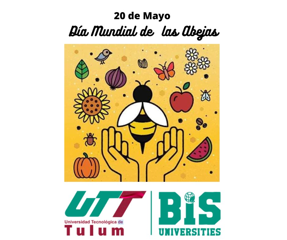 UTTulum_BIS's tweet photo. Día Mundial de las Abejas.
#SomosBIS #UTTULUM https://t.co/tJ5vWmpYj3