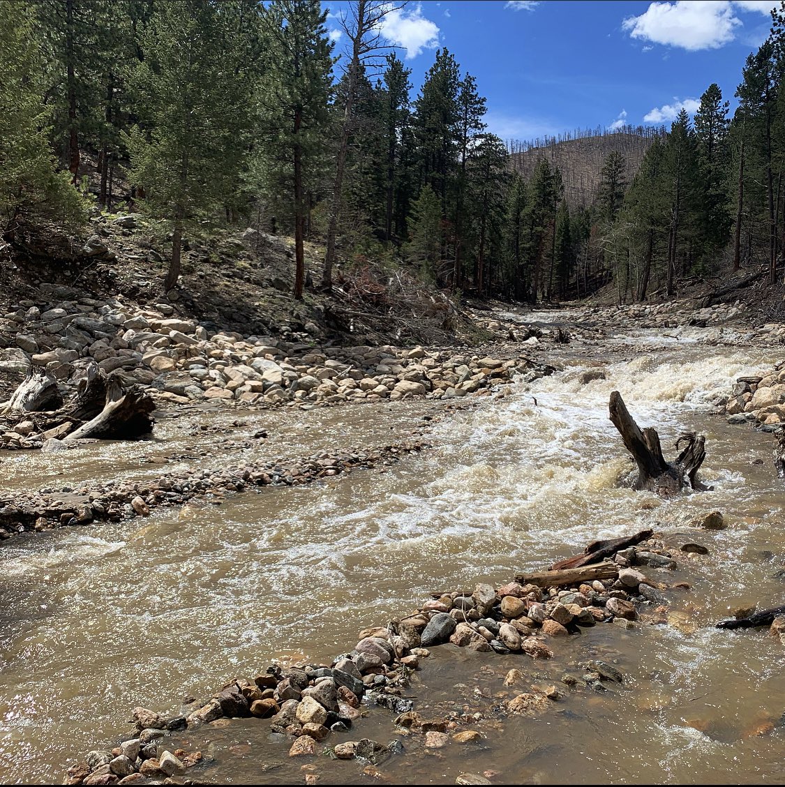 ScientistMads's tweet photo. Checking in on some post fire stream rehabilitation structures this week in northern Colorado. The rock checks are intended to hold grade while the added large wood material slow velocities and encourage sediment deposition in the channel. https://t.co/hQlvRfYNHq