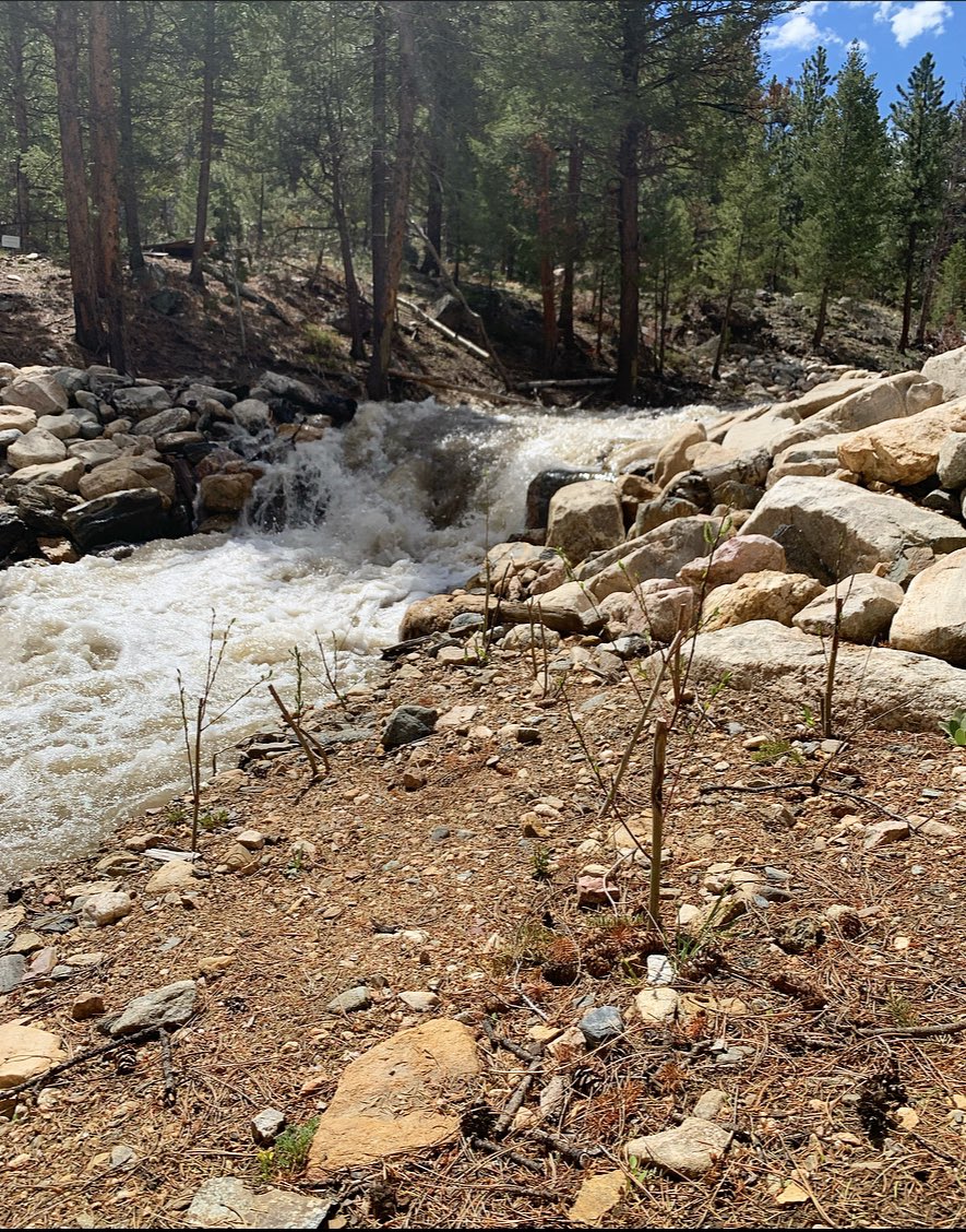 ScientistMads's tweet photo. Checking in on some post fire stream rehabilitation structures this week in northern Colorado. The rock checks are intended to hold grade while the added large wood material slow velocities and encourage sediment deposition in the channel. https://t.co/hQlvRfYNHq
