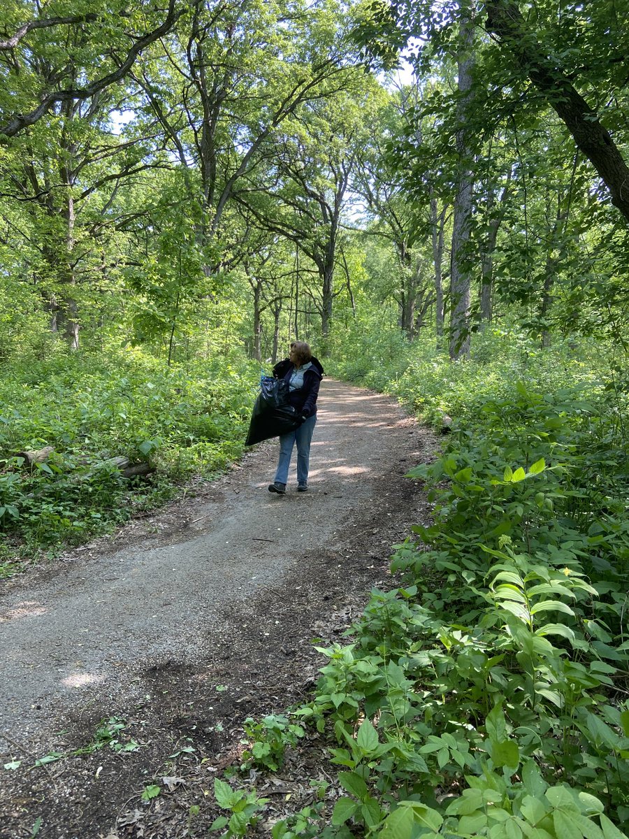 This is the happy look of a volunteer at Fabyan Preserve hauling garlic mustard to the pile. Thanks Beth.