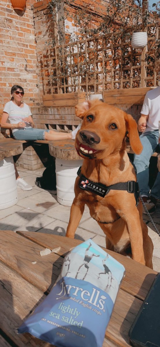 Jigsawsportsbranding tweet media