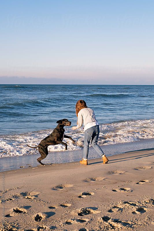 BestForPets4's tweet image. Let&apos;s make the most of this beautiful Saturday and enjoy some fun in the sun with our furry friends! ☀️🐶 #SaturdayVibes #WeekendFun #BeachDay #DogLovers