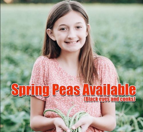 Important news: Black Eyed Peas - mailchi.mp/parkesdale/imp…