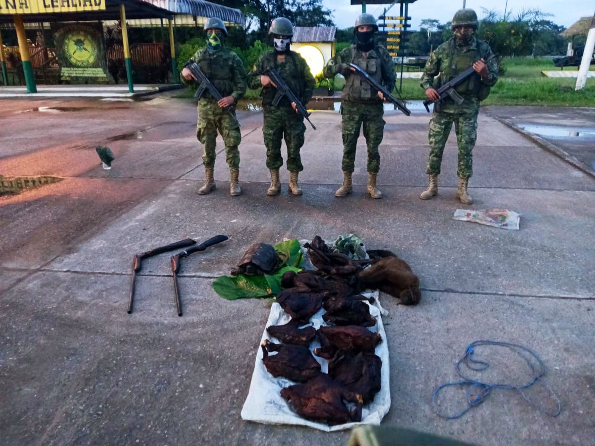 EjercitoECU's tweet photo. #Sucumbíos| Efectivos de #EjércitoECU en controles militares el sector de #Vinitas Bloque 59, se inicia una persecución, a individuos sospechosos quienes arrojan dos bultos con:
✅2 armas
✅5 animales silvestres muertos (03 monos, 01 saíno y 01 tortuga)
#FFAAContigo https://t.co/kLwRpBb24g