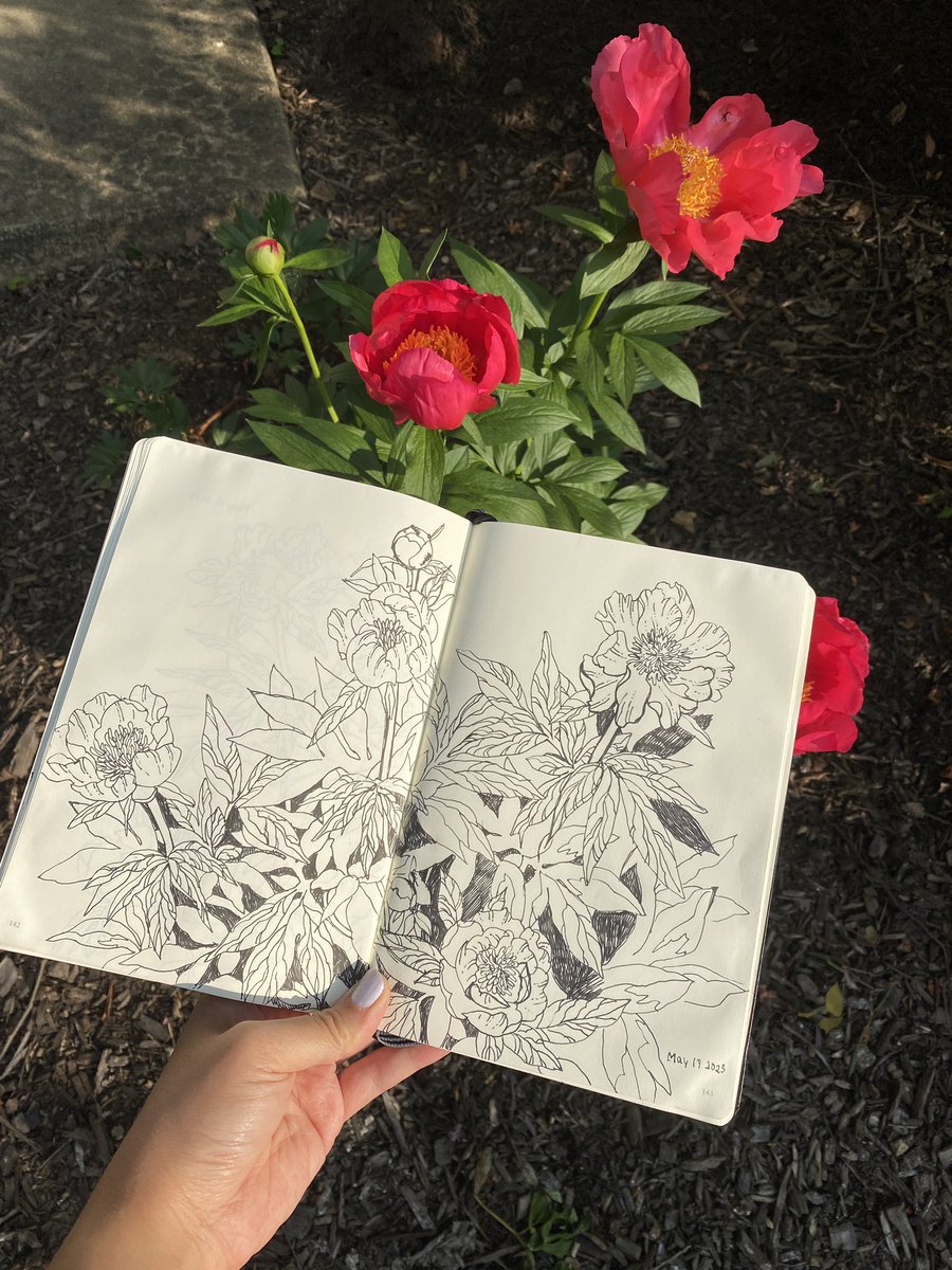 did some life drawing for the first time in a while