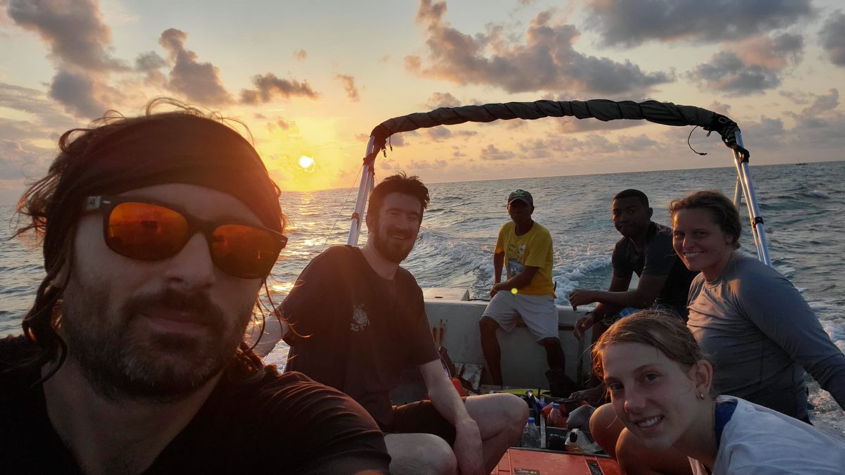 Aaron Hartmann tweet media