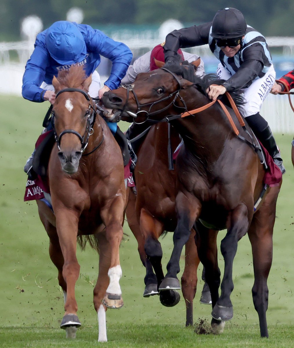 Chindit 😬 

A very dramatic finish to the Al Shaqab Lockinge Stakes!