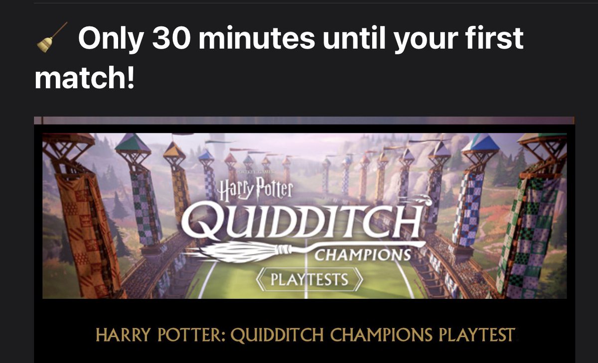 Got invited to play test quidditch! Should I stream it when I get home? 🧐