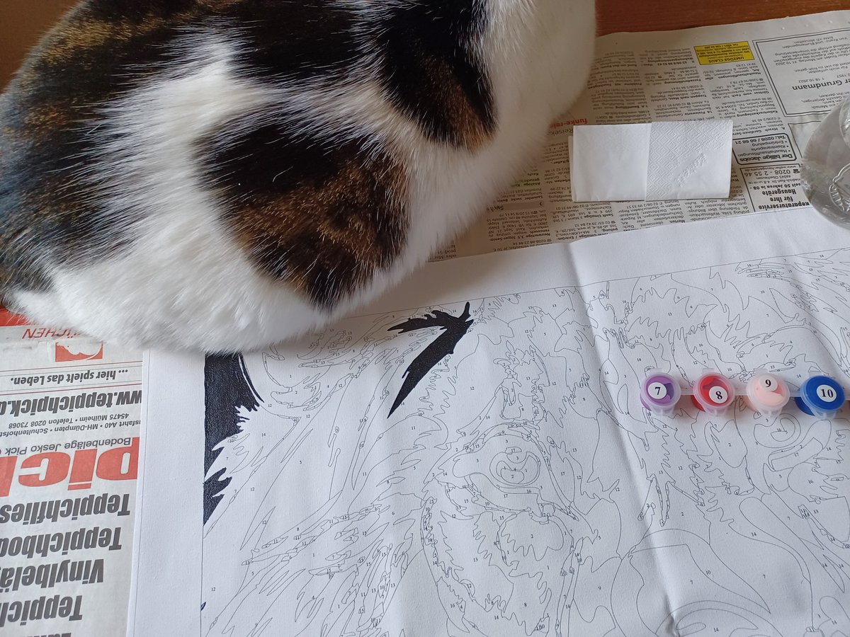 NiciS79's tweet photo. Helping me with my colour by numbers, kinda 😁
#CatsOfTwitter #helpfulkitty https://t.co/ZKdCoKAIVR